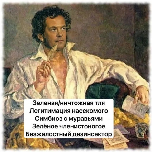 Очередной комментарий от «голубя мира»: