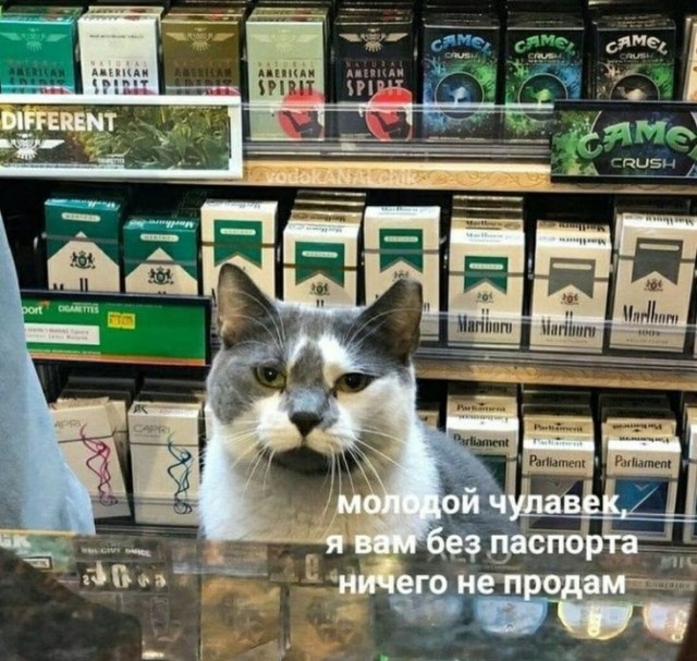 Среды картинки