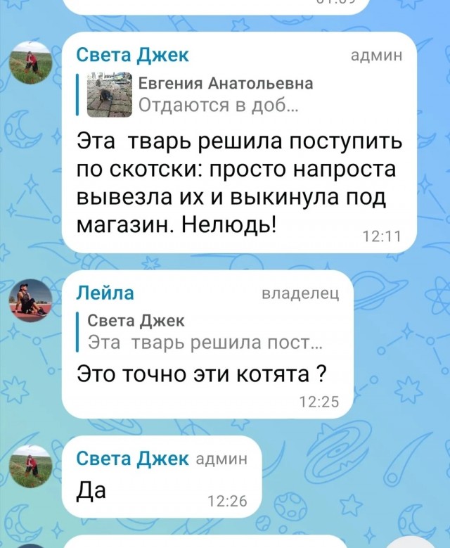 Волонтеры, а если еще и неадекватные, зло!