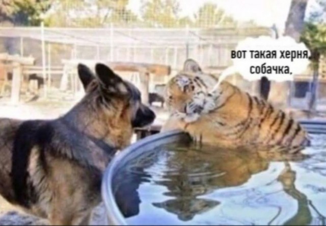 А вы и дальше продолжайте тратить деньги на психологов.