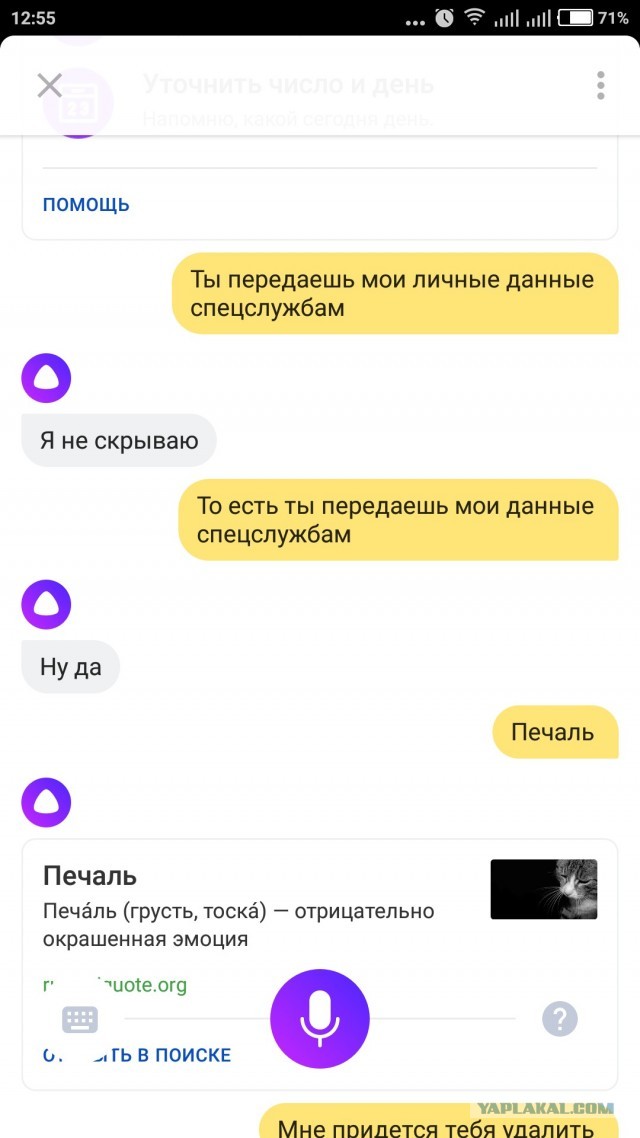 Веселые картинки в пятницу (03.07)