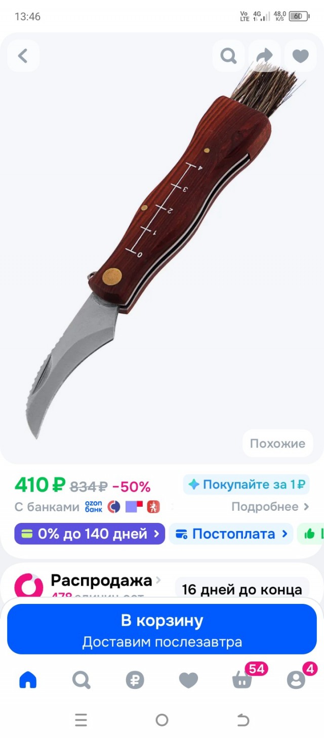 Открыла сезон