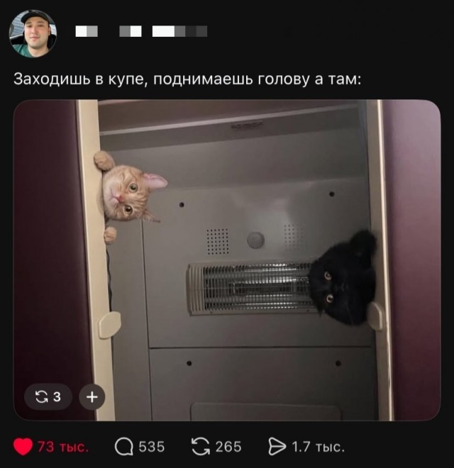 Так себе картинки 29.07.26
