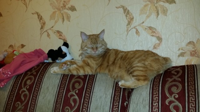 Вот и я стал рабом