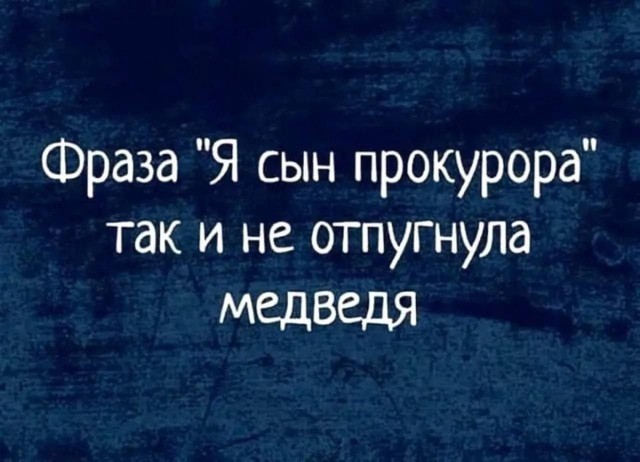 Медведь напал на рыбака в Приморском крае
