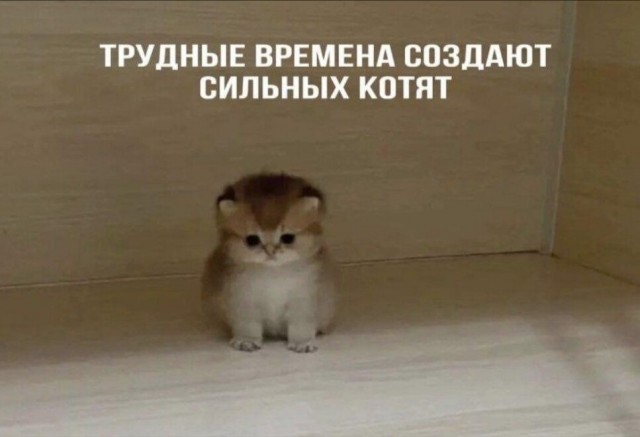 В столовой произошла драка