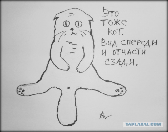 Что нарисовал Путин?