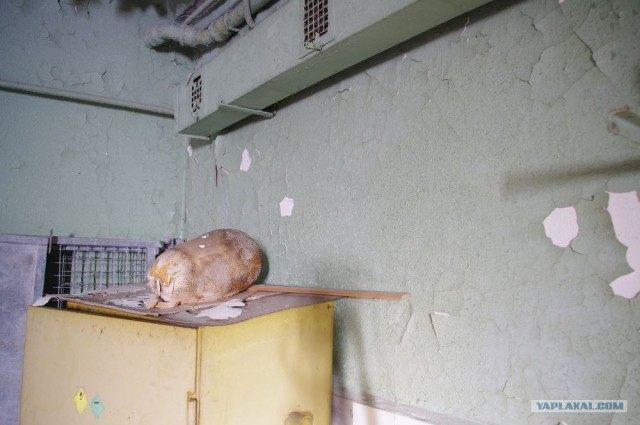 Заброшеный Виварий (32 фотки)