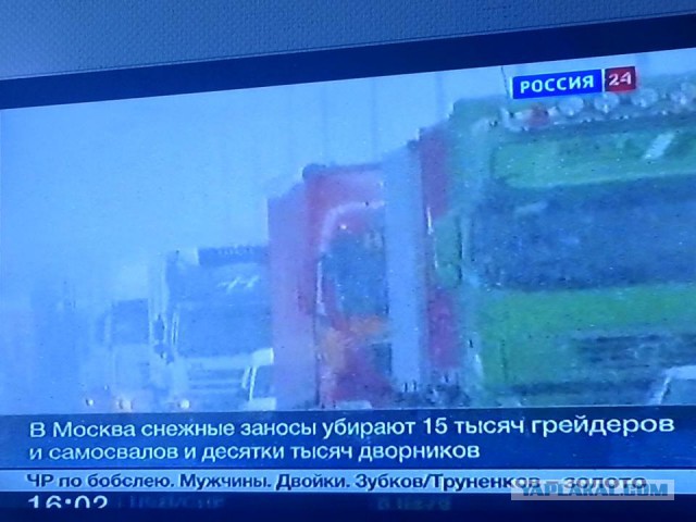 Грамматнасть и нтилехт вконтактовских обитателей
