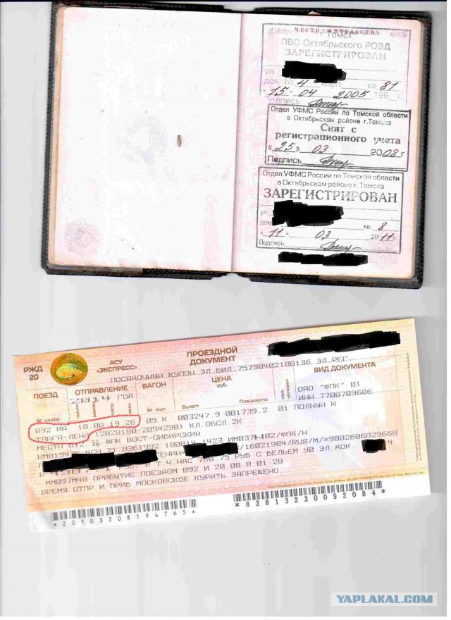 Навело "патриотичными" эссе.