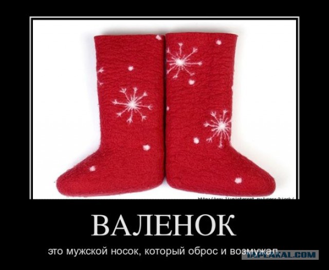 Смешные комментарии из соцсетей, картинки