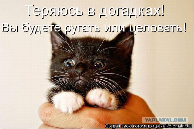 20 чашек милоты