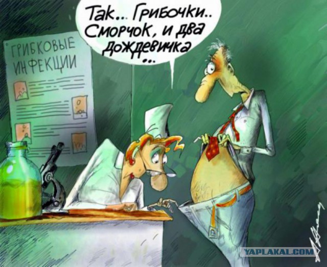 Любимая ГРИБОСРЕДА – опять нас радует всегда!