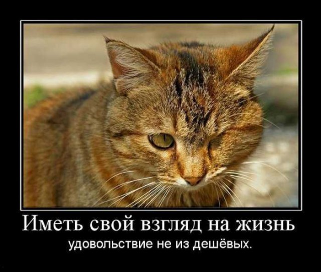 Вы хотите "демов"? часть 2-я
