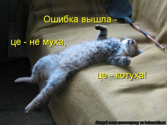 Ленивые коты