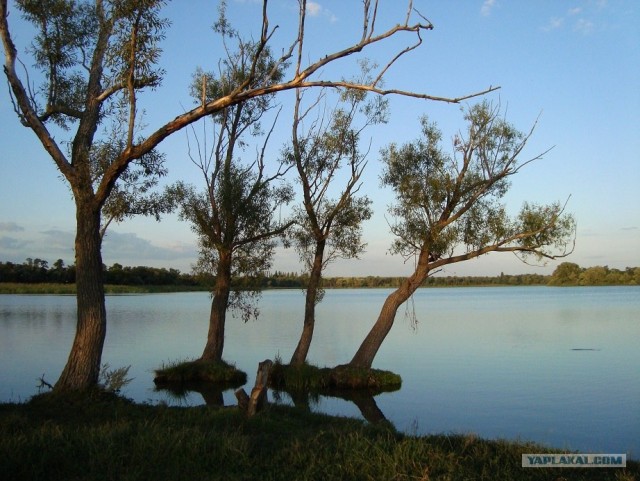 Небольшая дверь в Лето!