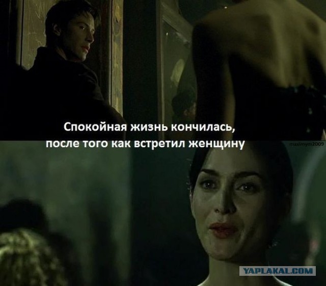 Молодожёны