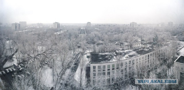 Мобильный телефон vs зеркальный фотоаппарат