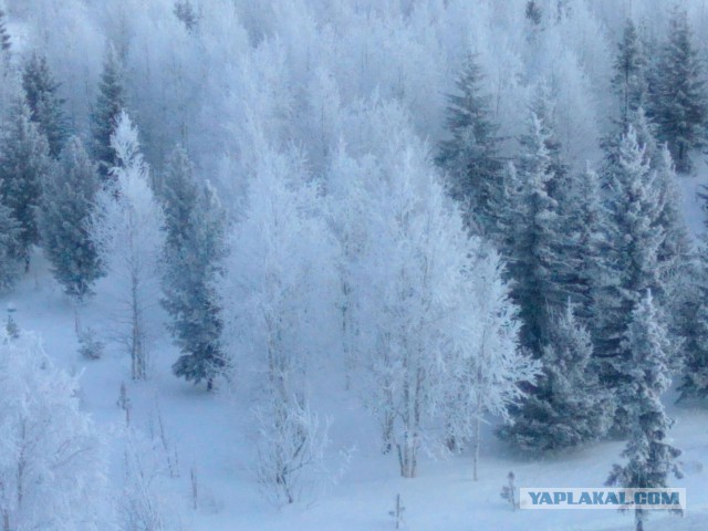 А вы слышали про город НАДЫМ?