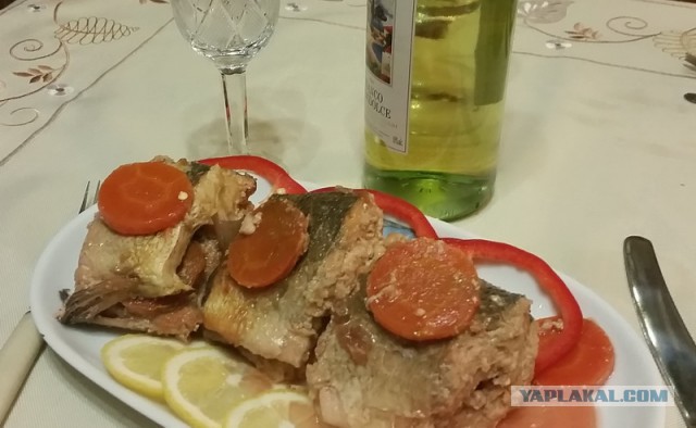 Гефилте фиш – классическая фаршированная рыба по-еврейски.