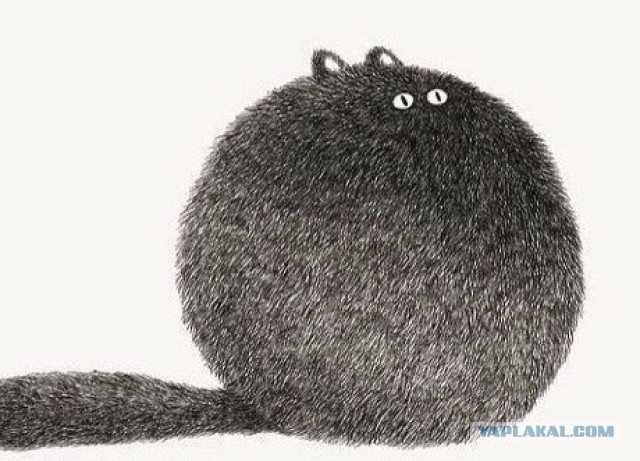 Лучшие кубы 2015, которые я не видел