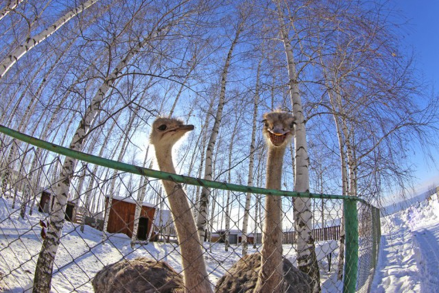 Подборка картинок 20.02.16