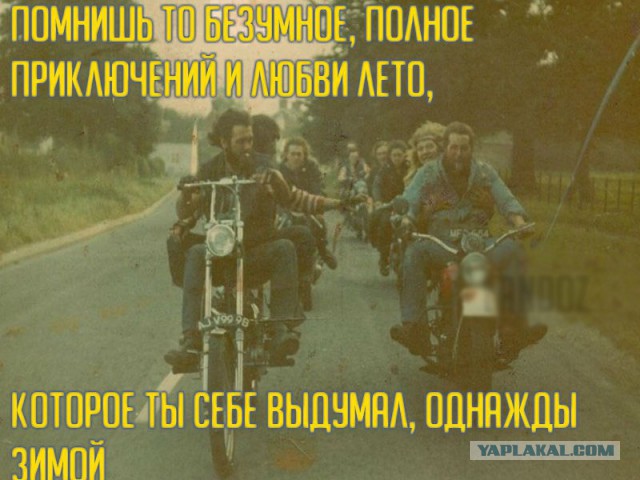 Абсурдный юмор ч. 23