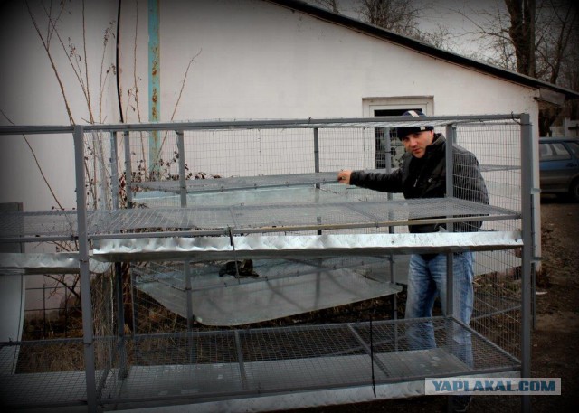 Сельскохозяйственный эксперимент ч. 5