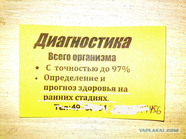 Весёлые картинки