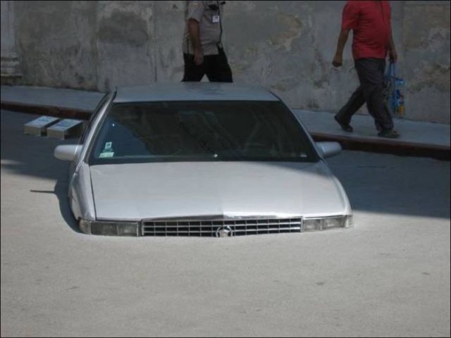 Картинки и приколы из сети