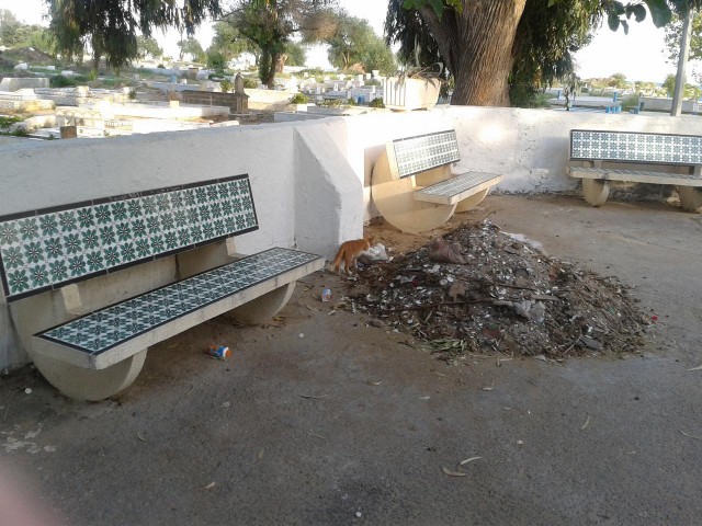 Отдых в Тунисе