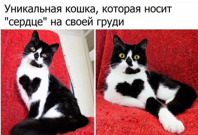 Фото из этих ваших интернетов.