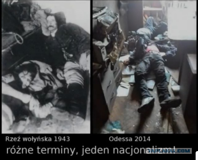 Опять огорчение ждбандерам - от поляков. )))