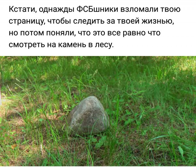 "Компот" - "Компоты варят из всех съедобных фруктов и ягод. (Вики)