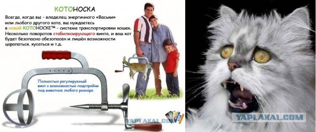 Что это за странный инструмент?