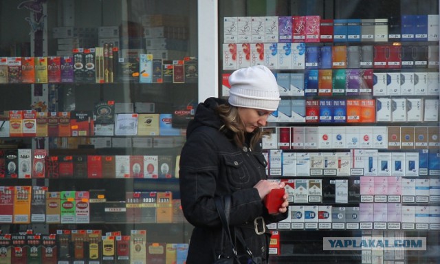 Минздрав хочет ввести экологический сбор на сигареты: Скворцова рассказала о новых ограничительных мерах