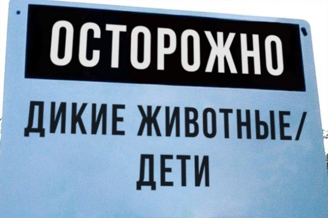 Подборка интересных и веселых картинок