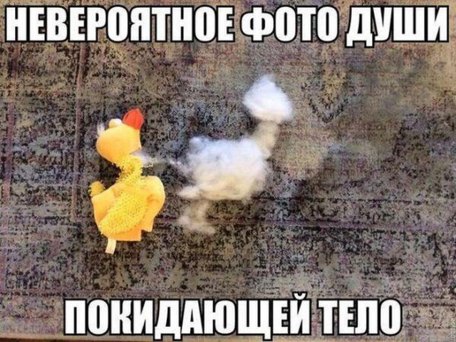 Морально устали? Аморально отдохните.