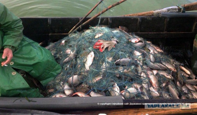 Пермские рыбаки предложили запретить продажу рыболовных сетей