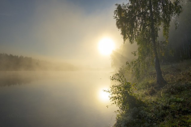 Каникулы в деревне