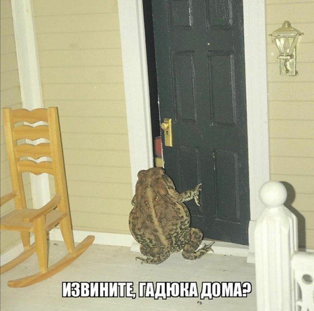 Соловьев отказался от баттла с Уткиным