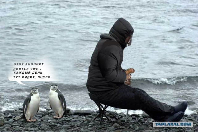 Внимательный фотограф