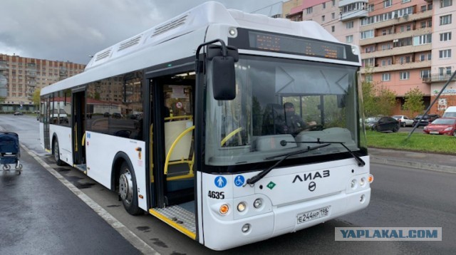 В Петербурге трое мигрантов напали на автобус и разгромили остановку. Возбуждено уголовное дело.