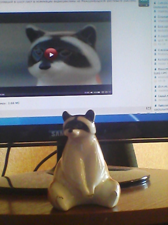 10 жизней енота