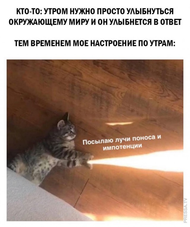 Картинки и мемы для настроения 024