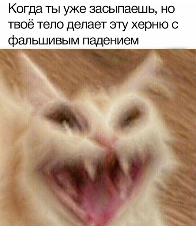 Картинки и мемы для настроения 27.04.2021