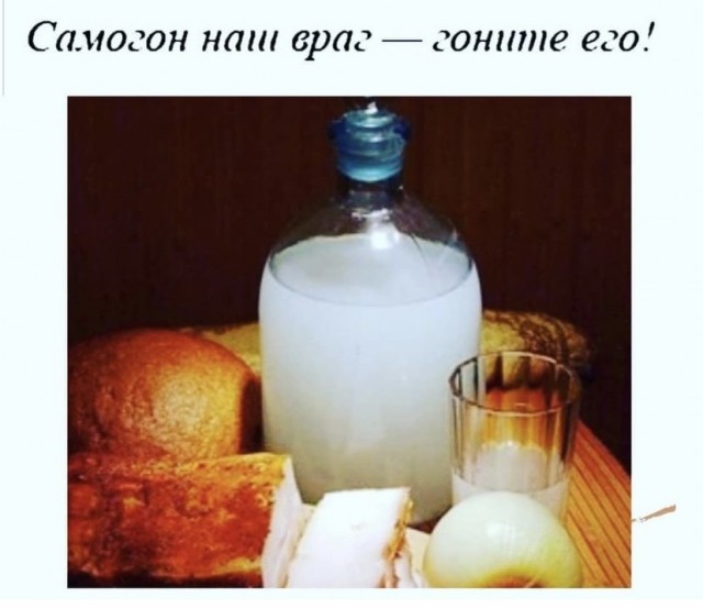 Весёлый полтишок 2.06.2021
