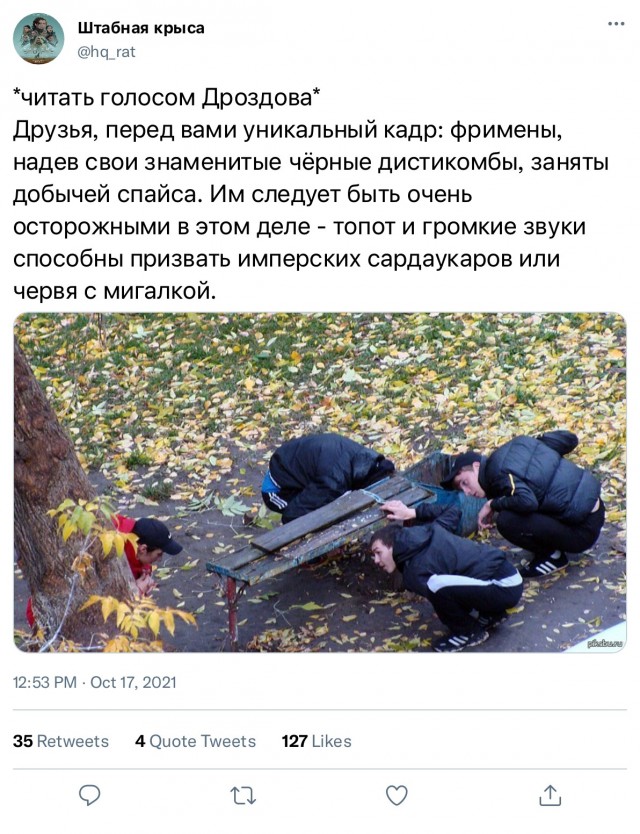 Мешанина из картинок, поулыбаться или просто пофтыкать