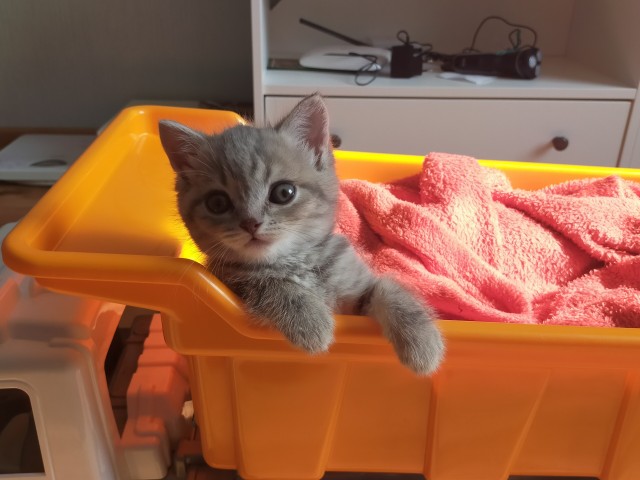 Вот как с ним бороться?