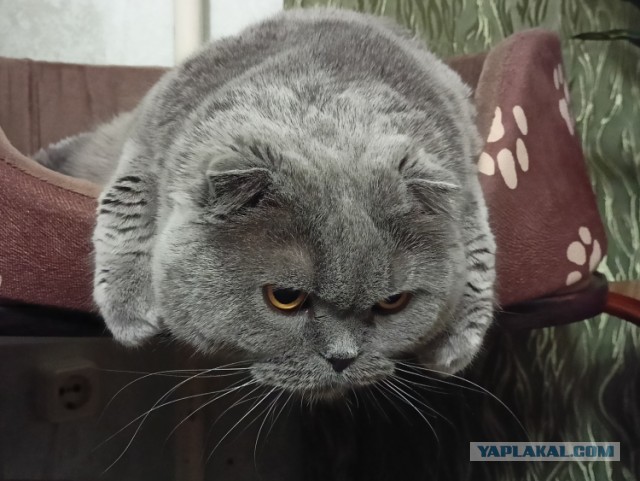 А что, уже вторник?